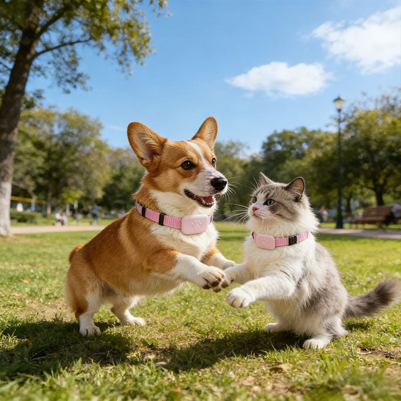Real-Time GPS Pet Tracker: Long-Range Waterproof Collar with Activity Alert, Anti-Loss Finder Compatible with Apple Find My