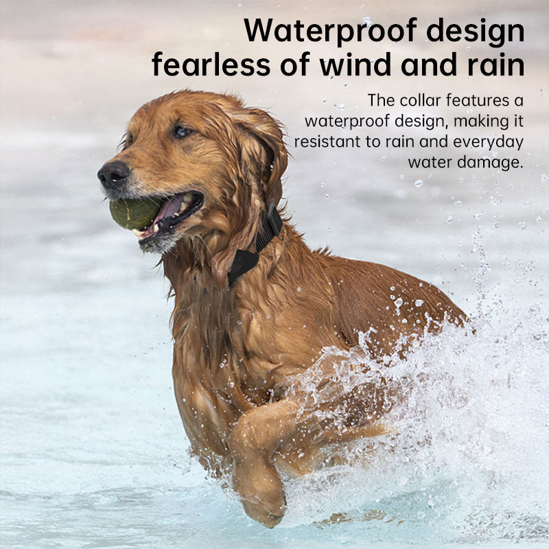 Real-Time GPS Pet Tracker: Long-Range Waterproof Collar with Activity Alert, Anti-Loss Finder Compatible with Apple Find My